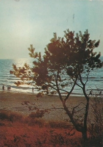 Morze Bałtyk 03412