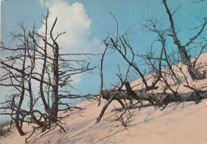 Słowiński Park Narodowy  03434