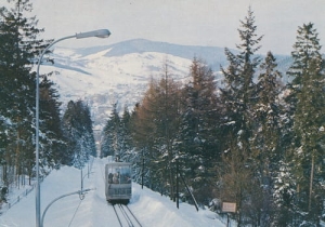 Krynica kolejka 03583