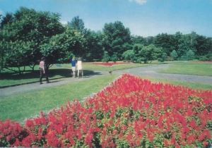 Nysa Planty 03601