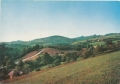 nowe-IMG_0026.jpg