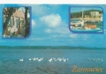 nowe-IMG_0034.jpg