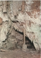 nowe-IMG_0050.jpg