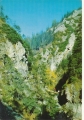 nowe-IMG_0090.jpg