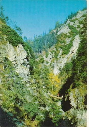 nowe-IMG_0090.jpg