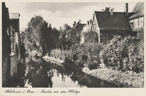 nowe-8795.jpg