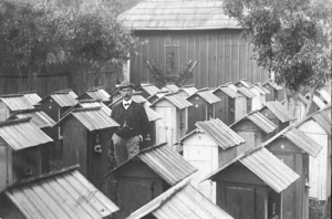 Stara pasieka, ule - Reprodukcja 8818