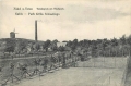 nowe-8863.jpg