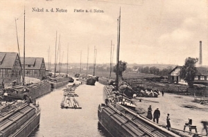 Nakło barki - Reprodukcja 8870