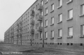 nowe-8929.jpg