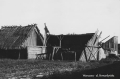nowe-8962.jpg