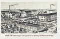 nowe-9035.jpg