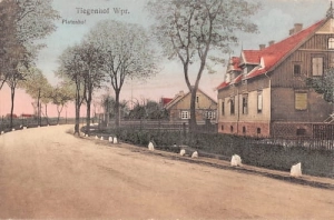 Nowy Dwór Gd. Plantenhof -Reprodukcja 9044