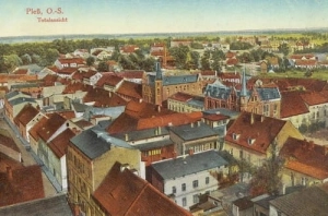 Pszczyna panorama - Reprodukcja 15528