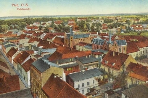 nowe-15528.jpg