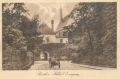 nowe-9127.jpg