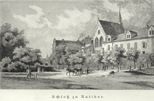 Racibórz Zamek - Reprodukcja 9133