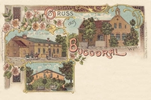 Buk Góralski Litografia - Reprodukcja 9156