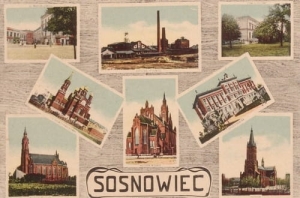 Sosnowiec widokowa - Reprodukcja 15402
