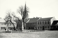 nowe-15484.jpg