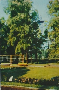 Katowice 01535