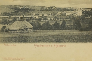 Nałęczów panorama - Reprodukcja 1130