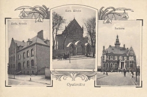 Opalenica widokowa - Reprodukcja  9172