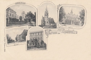 Opalenica widokowa - Reprodukcja  9174