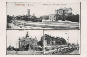 Opalenica widokowa - Reprodukcja  9175