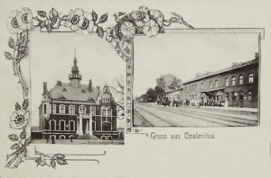 Opalenica widokowa - Reprodukcja  9180