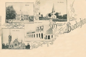 Barcin widokowa - Reprodukcja  9189