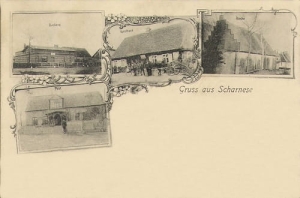 Czarże widokowa - Reprodukcja  9203