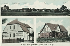 Janowiec Wielkopolski - Reprodukcja  9217