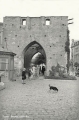 nowe-9330.jpg