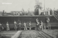 nowe-345.jpg