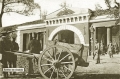 nowe-9364.jpg