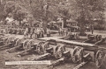 nowe-9387.jpg