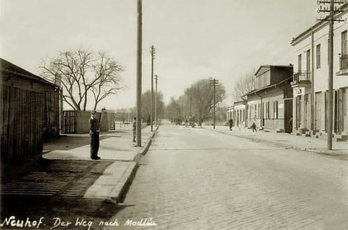 nowe-9392.jpg