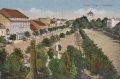 nowe-9504.jpg