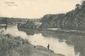 Tomaszów Maz. rz. Pilica - Reprodukcja 9594