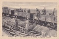 nowe-9633.jpg