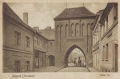 nowe-9647.jpg