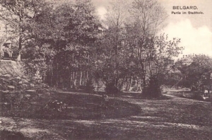 Białogard Park - Reprodukcja 9679