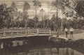 nowe-9682.jpg