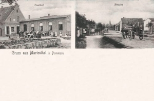 Baniewice widokowa -Reprodukcja 9746