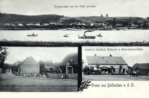 Bielinek widokowa - Reprodukcja 9754