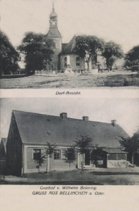 Bielinek widokowa - Reprodukcja 9758