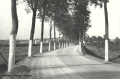 nowe-9769.jpg