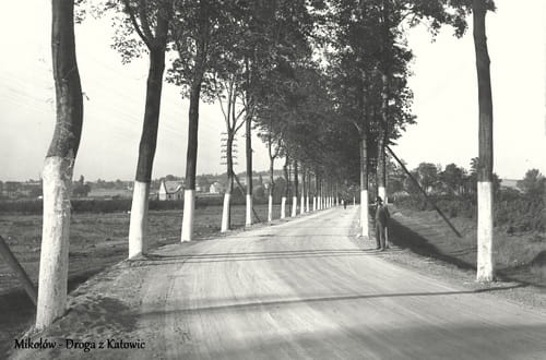 nowe-9769.jpg