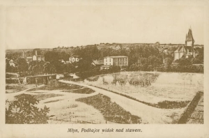 Podhajce Młyn - Reprodukcja 9796